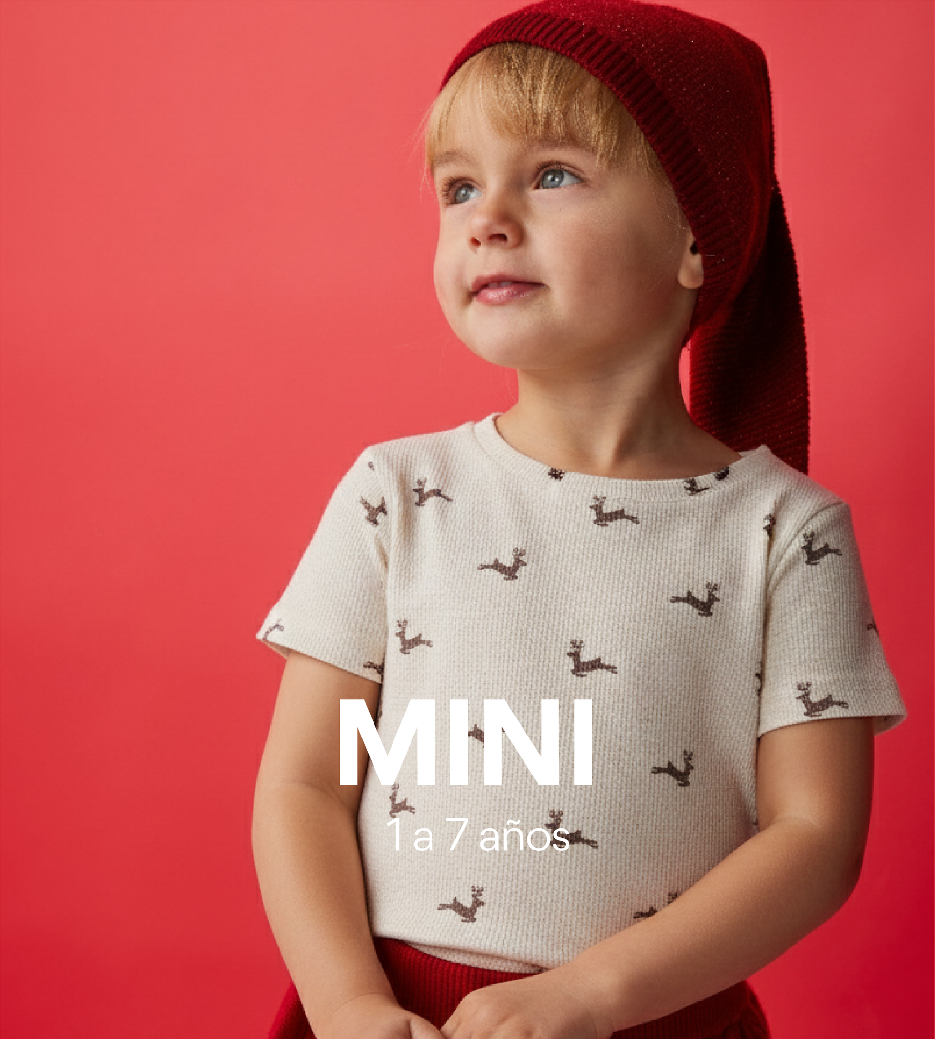 MINI DESKTOP c2244a14 ade7 4694 bab4 780ac92ea6ba