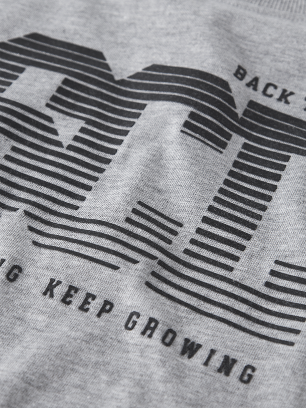 Product CAMISETA LADON-Grey Melange - Image 2