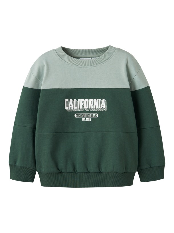 Product BUZO VEMIL - Garden Topiary Print:California Cloud - Image 3