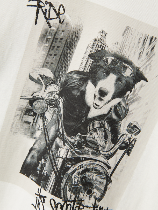 Product CAMISETA VOTO - Jet Stream Print:Dog - Image 2